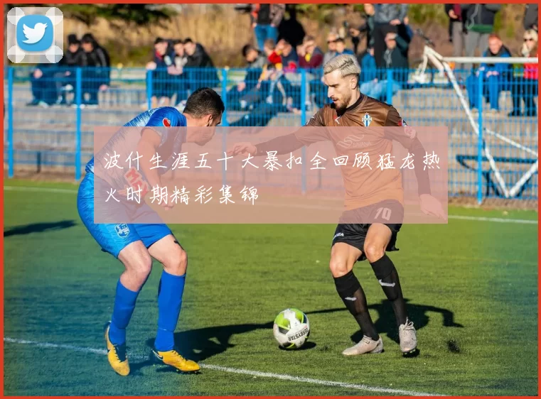 波什生涯五十大暴扣全回顾猛龙热火时期精彩集锦