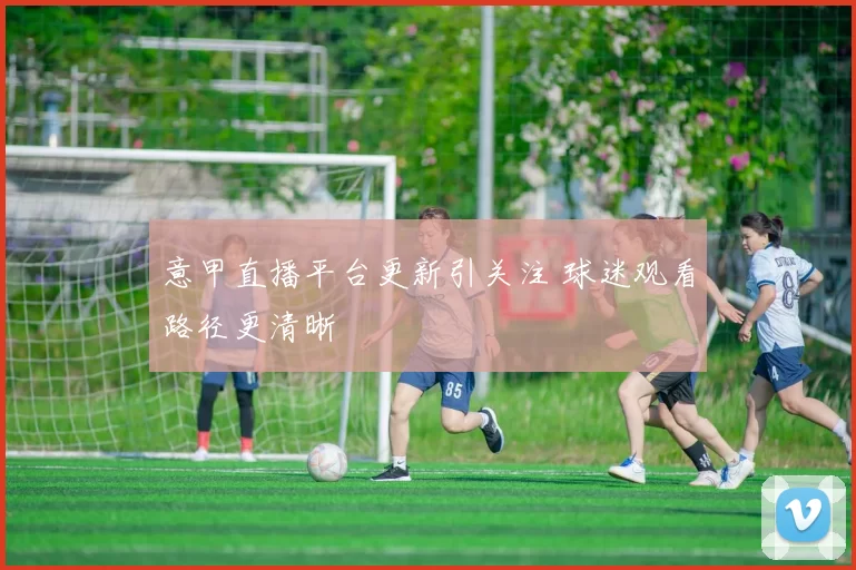 意甲直播平台更新引关注 球迷观看路径更清晰