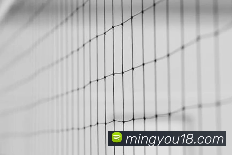 爱体育官方端网站登录入口 - 爱体育aitiyu(中国)品牌故事